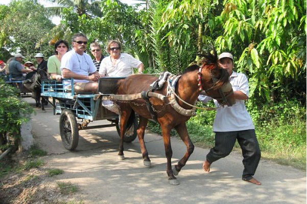 Hình ảnh cho thuê xe du lịch khám phá xứ dừa