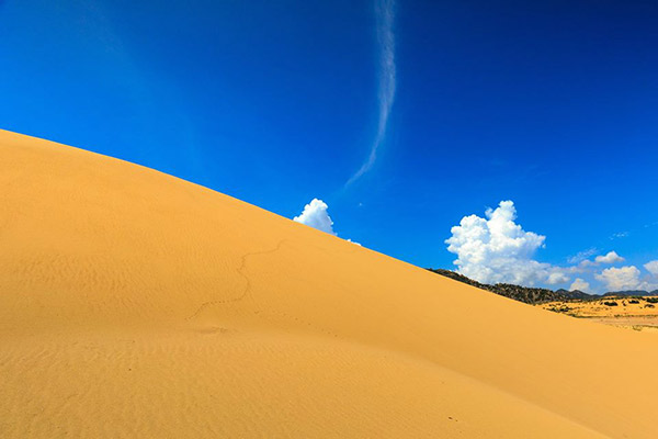Hình ảnh cho thuê xe du lịch khám phá xứ cát bay